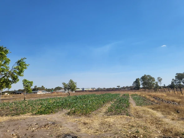 Farm & Agricultural Land