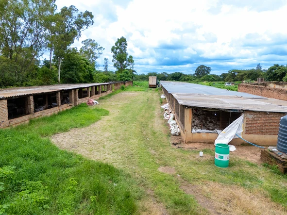 Farm & Agricultural Land