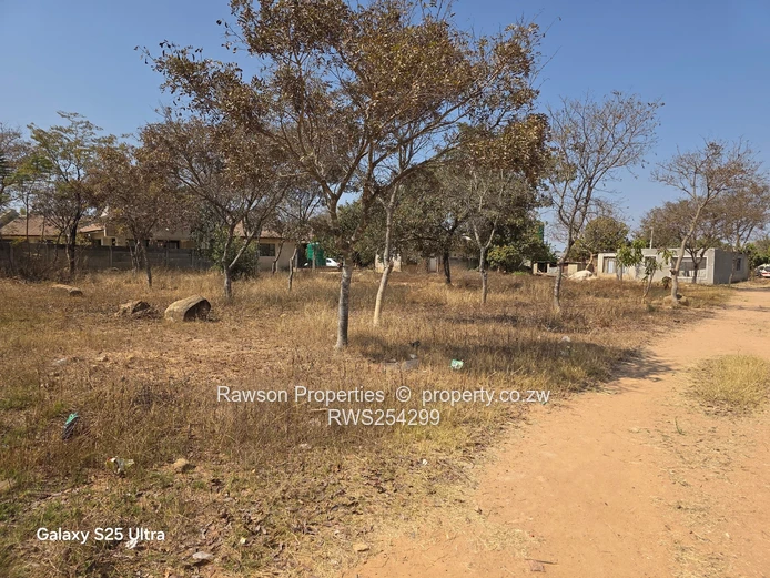 Riverside Ruwa Stand For Sale!