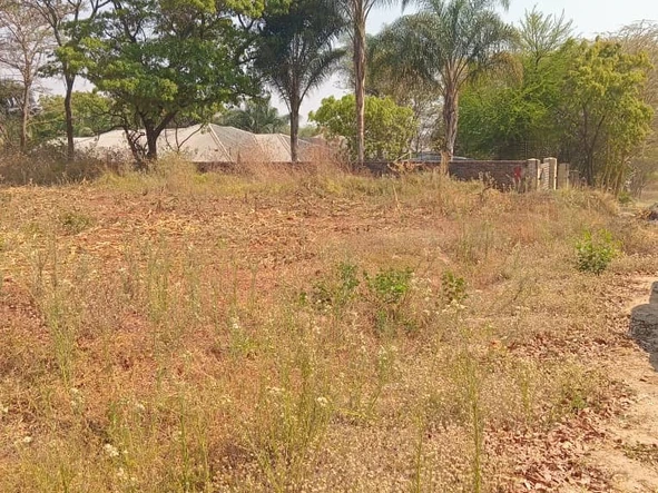 Stands & Residential Land