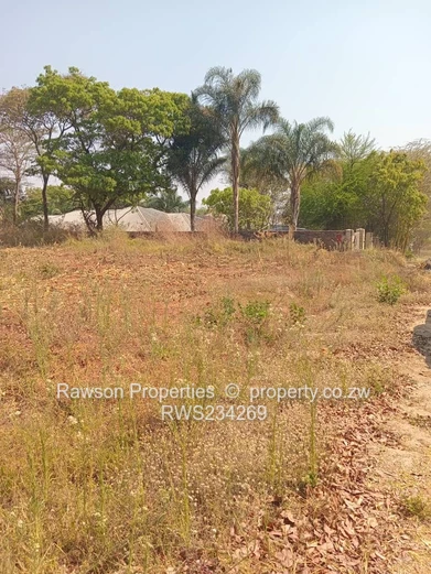 Good Investment..... (Sole Mandate)