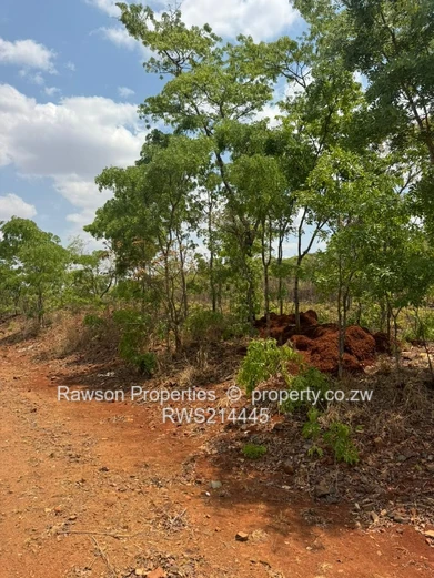 Too good to Last!  (Sole Mandate)