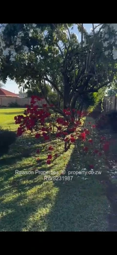 Superb opportunity in Mount Pleasant Heights 