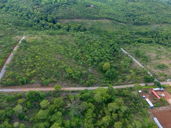 Farm & Agricultural Land