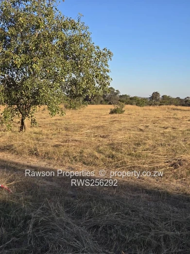 Marondera Meadow Springs Stands for Sale