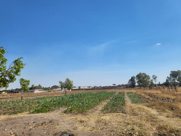 Farm & Agricultural Land