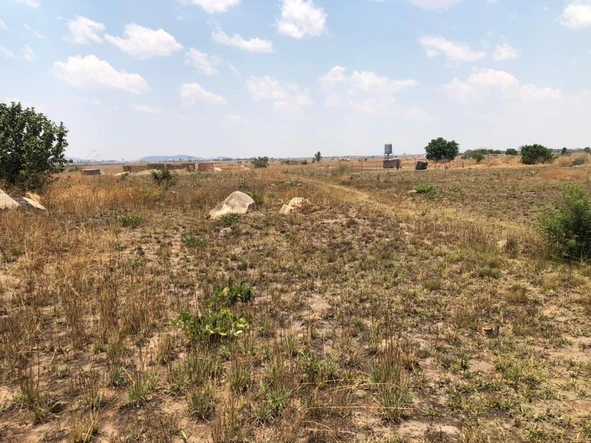 Farm & Agricultural Land