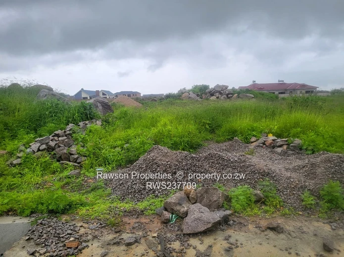 Investment opportunity 