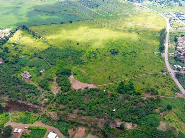 Stands & Residential Land