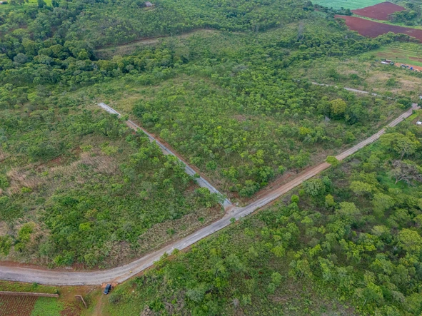 Farm & Agricultural Land