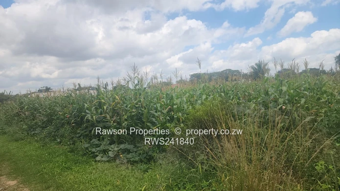 Great location at an affordable price 