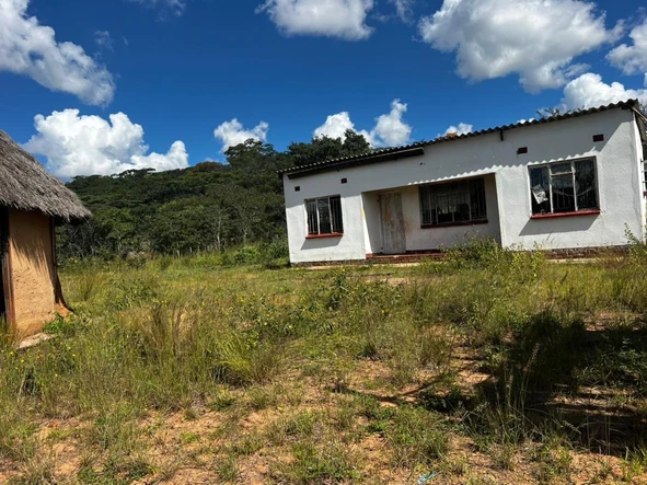 Farm & Agricultural Land