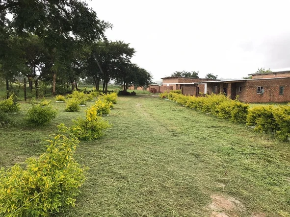 Shop & Retail Property