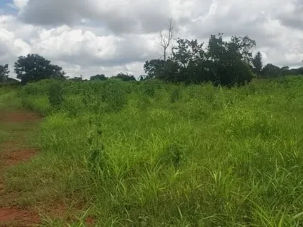 Stunning Land Opportunity 