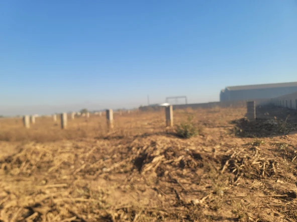 Commercial & Industrial Land