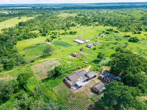 Farm & Agricultural Land