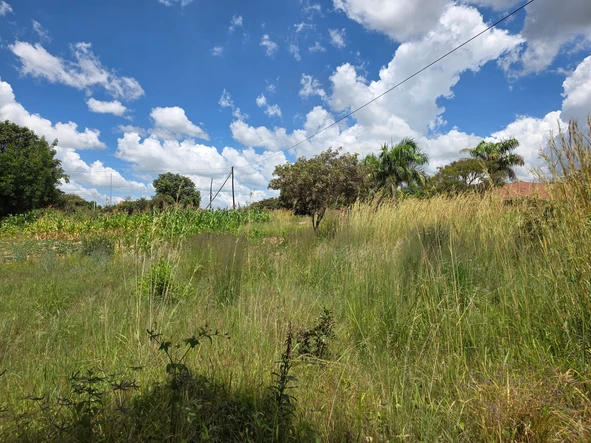 Stands & Residential Land