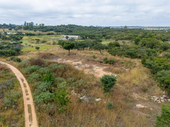 Farm & Agricultural Land