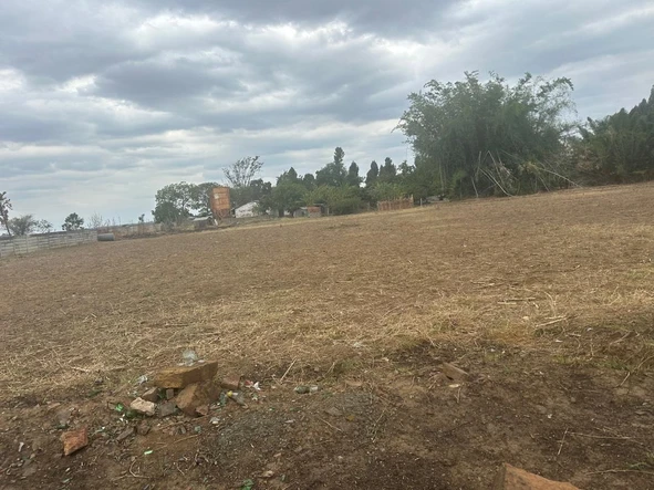 Stands & Residential Land