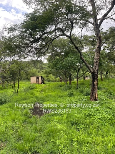 Prime Corner Stand for Sale 