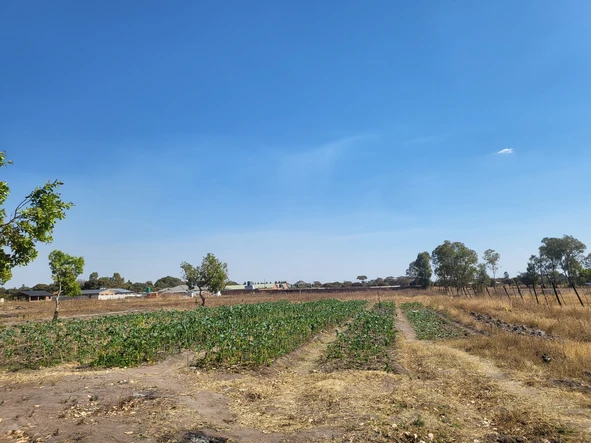 Farm & Agricultural Land