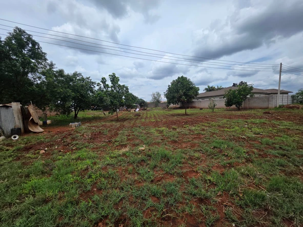 Stands & Residential Land