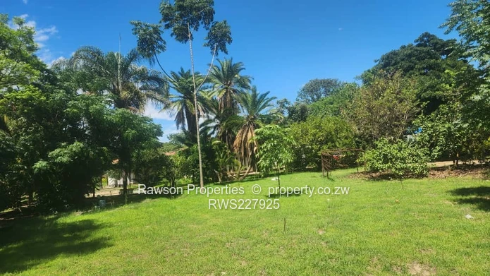 Msasa Commercial Property 