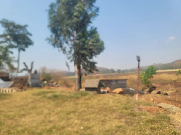 Farm & Agricultural Land