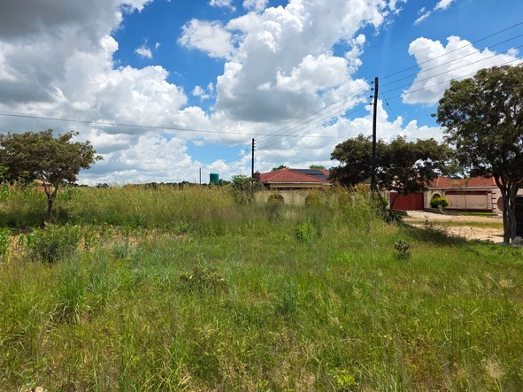 Stands & Residential Land