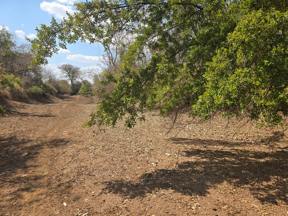 Farm & Agricultural Land