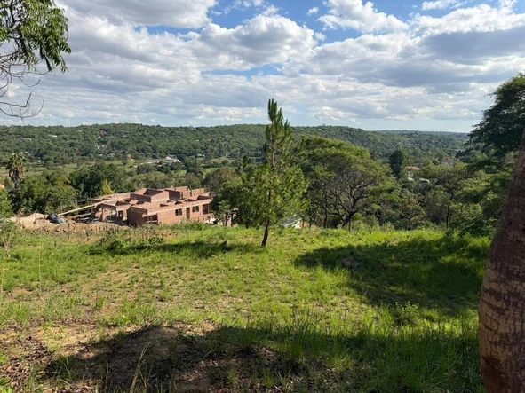 Shop & Retail Property