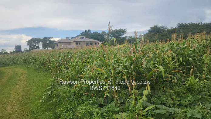 Great location at an affordable price 