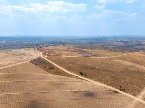 Farm & Agricultural Land