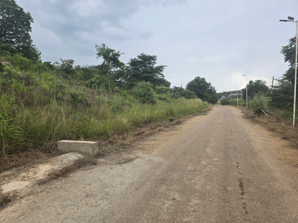 Stands & Residential Land