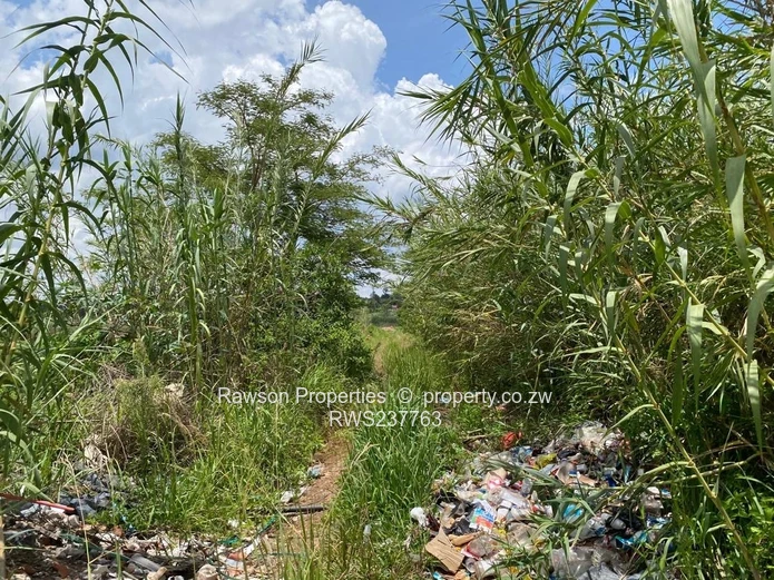 Don’t miss this great chance to invest!!