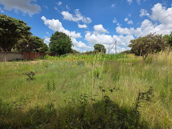 Stands & Residential Land