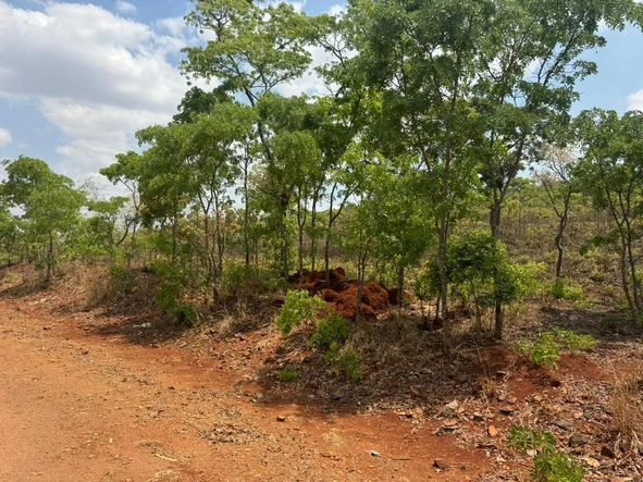 Farm & Agricultural Land