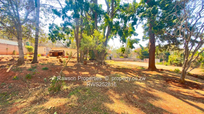 Greystone Park Oldie For Sale