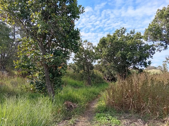 Farm & Agricultural Land