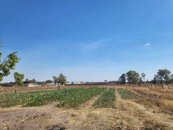 Farm & Agricultural Land