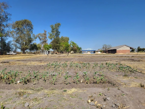 Farm & Agricultural Land