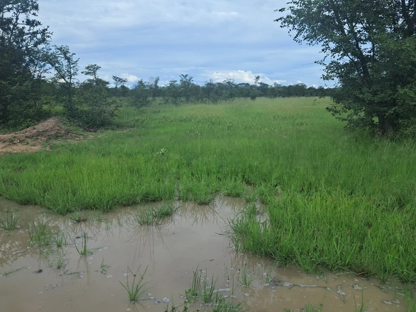 Farm & Agricultural Land