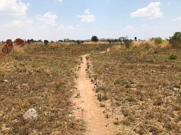 Farm & Agricultural Land