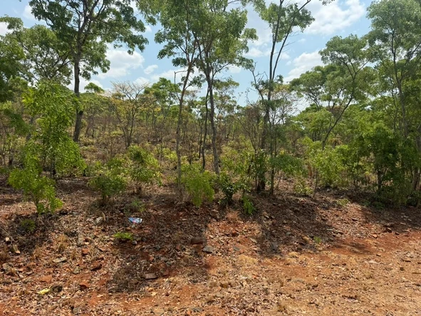 Farm & Agricultural Land