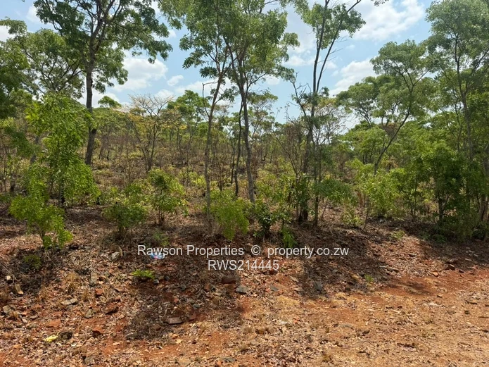 Too good to Last!  (Sole Mandate)