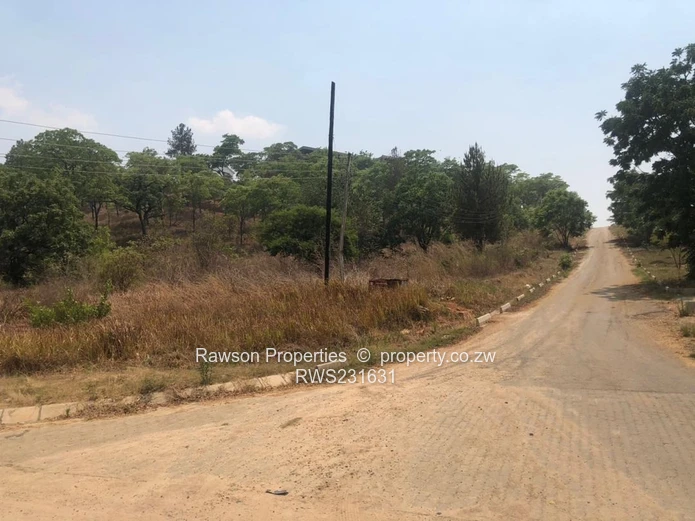 Build Your Dream Home