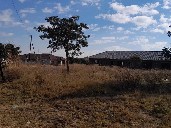 Stands & Residential Land