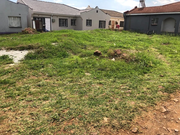 Stands & Residential Land