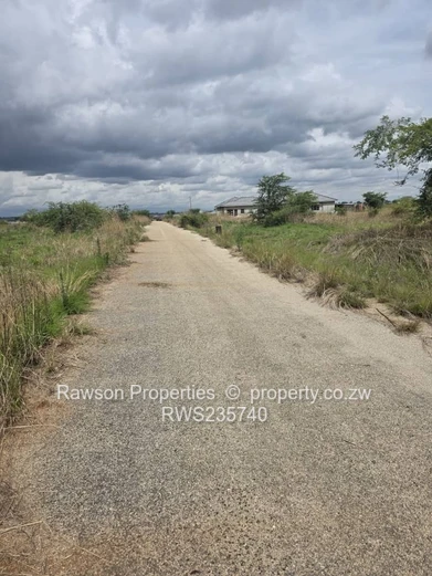 Investment opportunity!