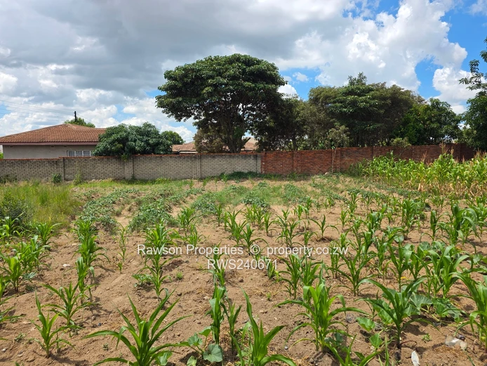  New on the market  (Sole Mandate)